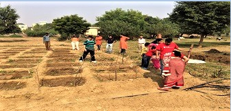Natural Farming
