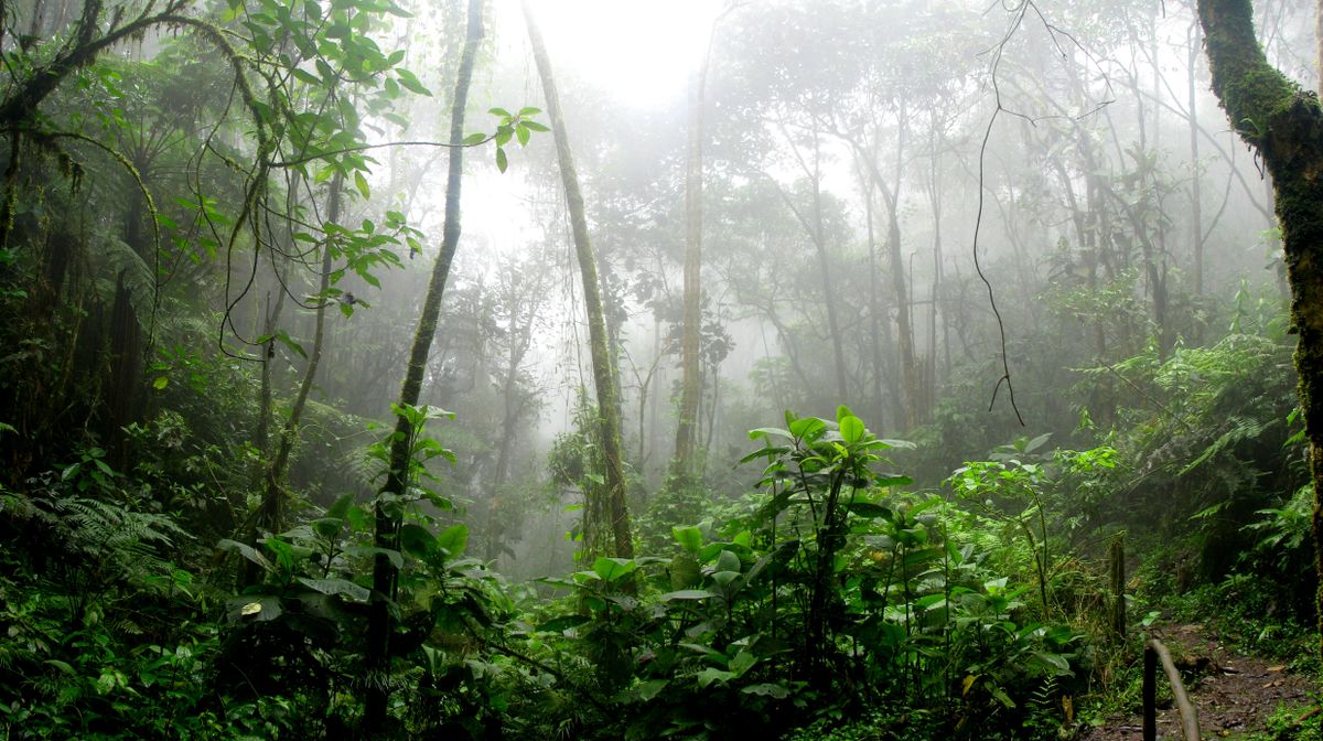 Environmental Education